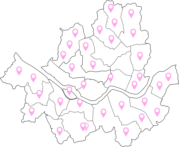서울 전체에 마커로 표시된 지도